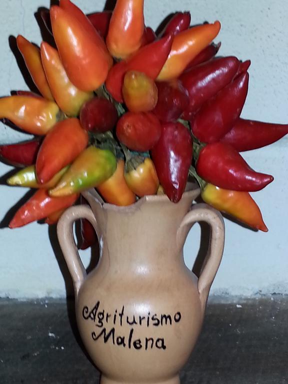 Agriturismo Malena Amica Kültér fotó