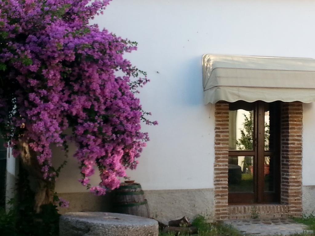 Agriturismo Malena Amica Kültér fotó