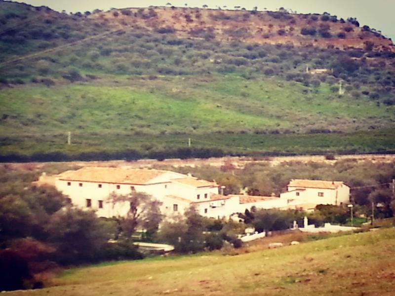 Agriturismo Malena Amica Kültér fotó